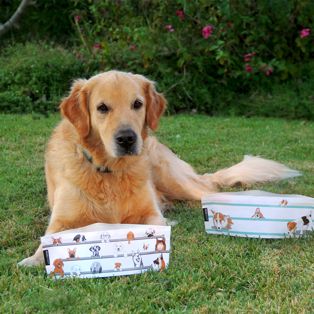 Wuff 'n' Go - Dog Travel Bowl Set