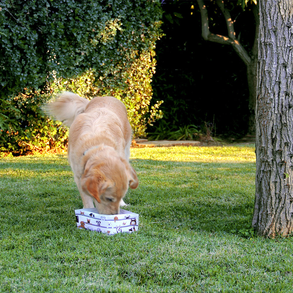 Wuff 'n' Go - Dog Travel Bowl Set