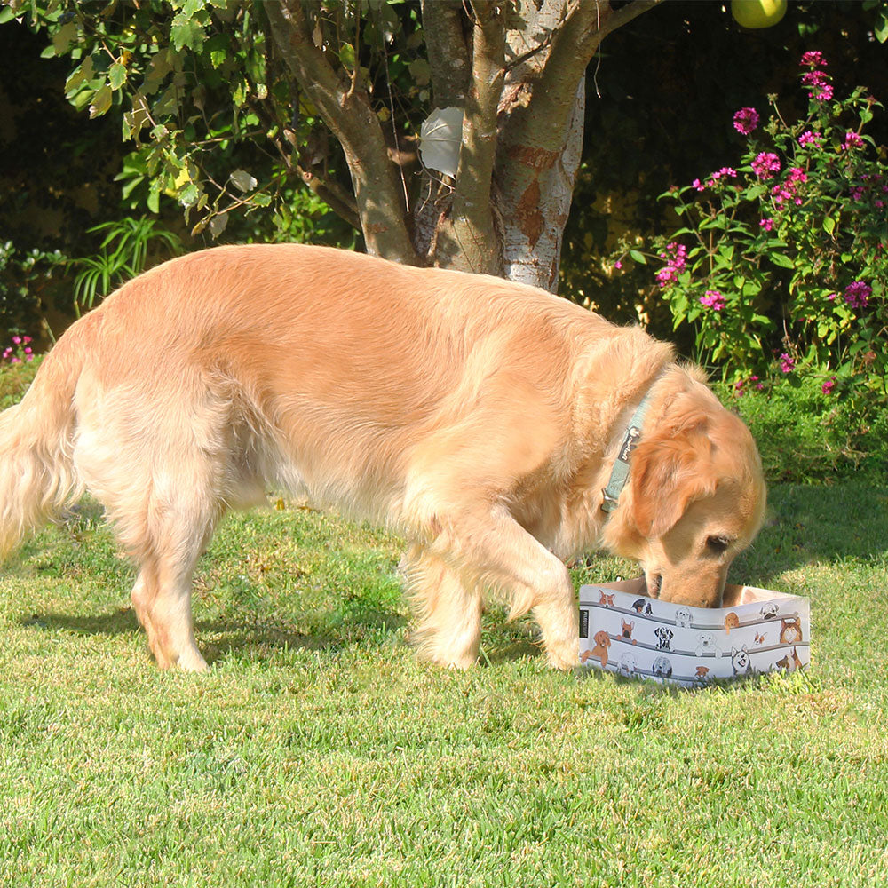 Wuff 'n' Go - Dog Travel Bowl Set