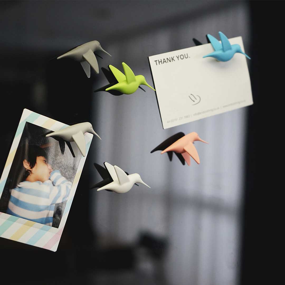 Hummingbird Message Magnet Set