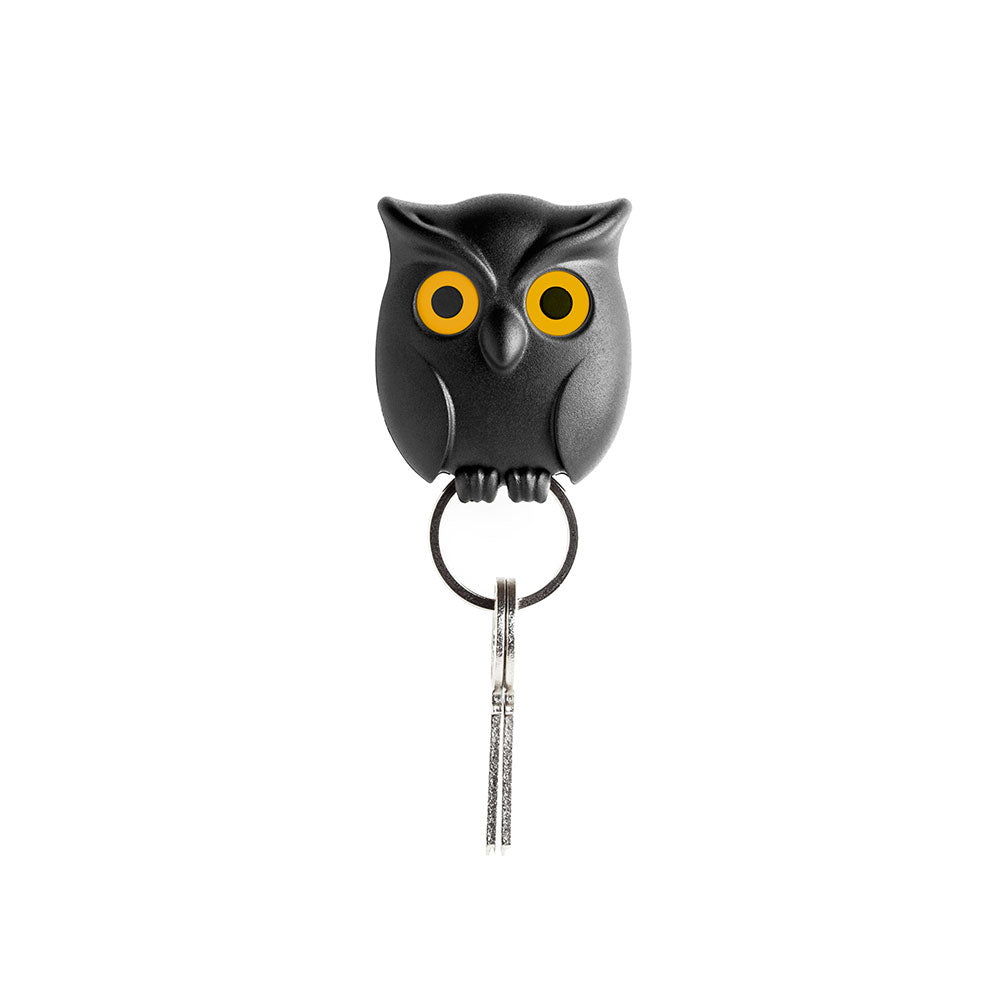 Night Owl Key Holder