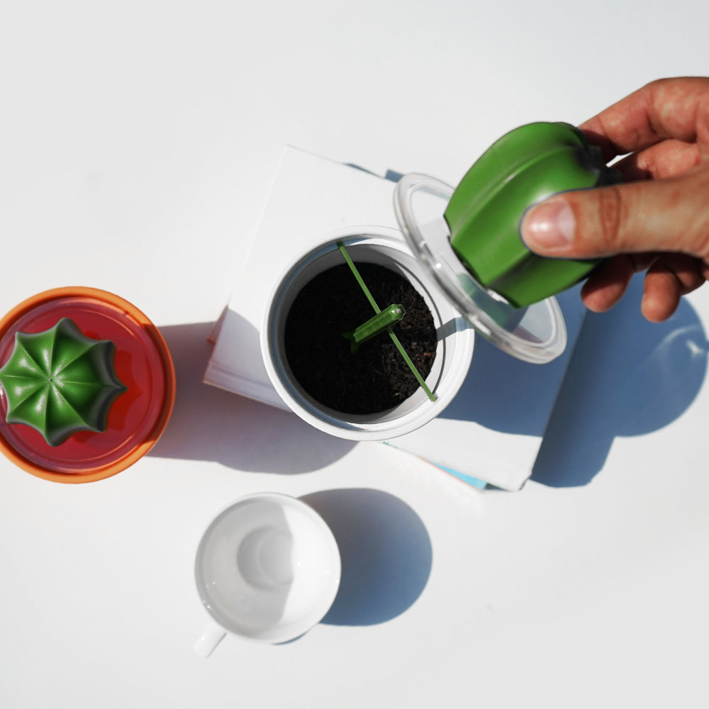 Cacnister Coffee/Tea Canister and Spoon