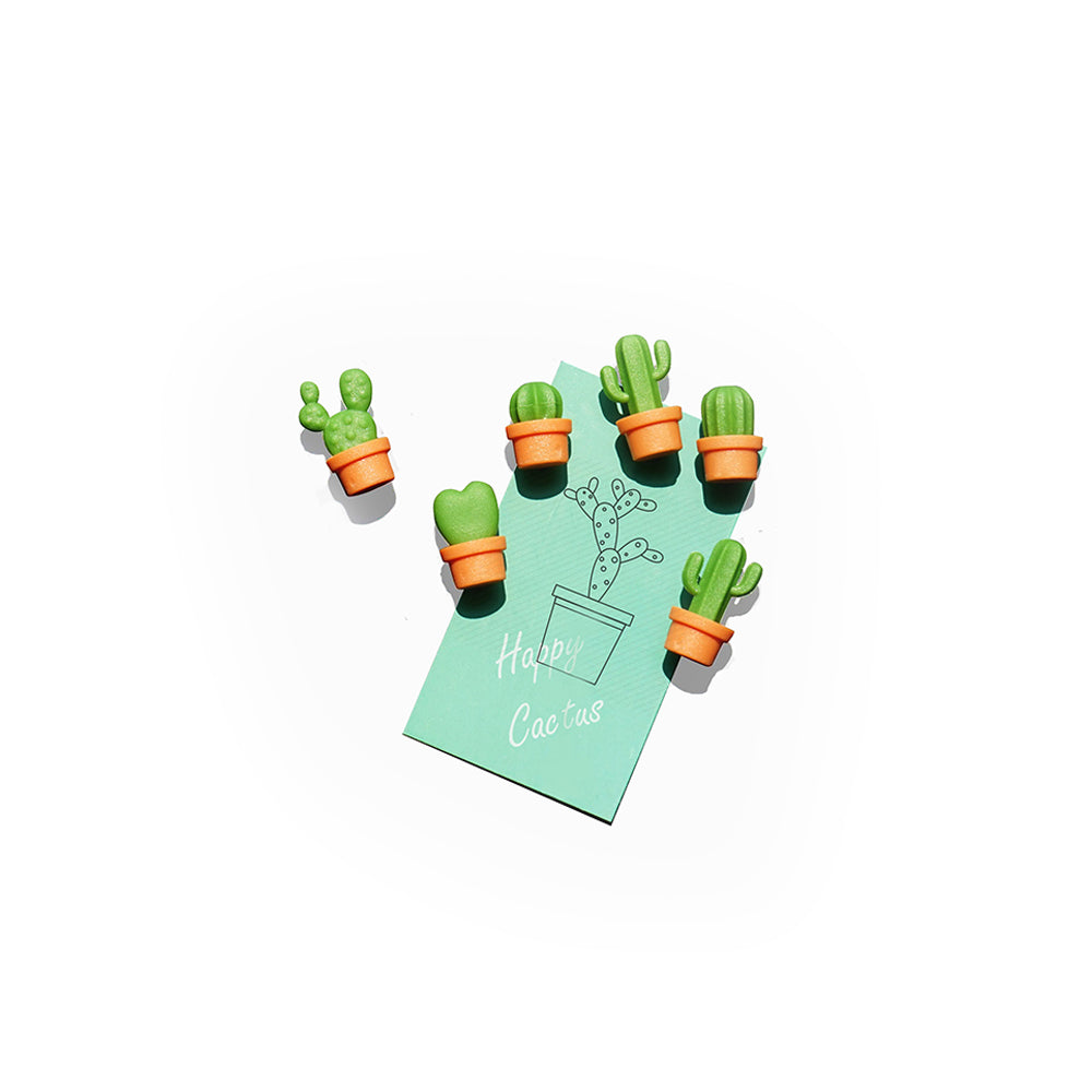 Cactus Magnet Set