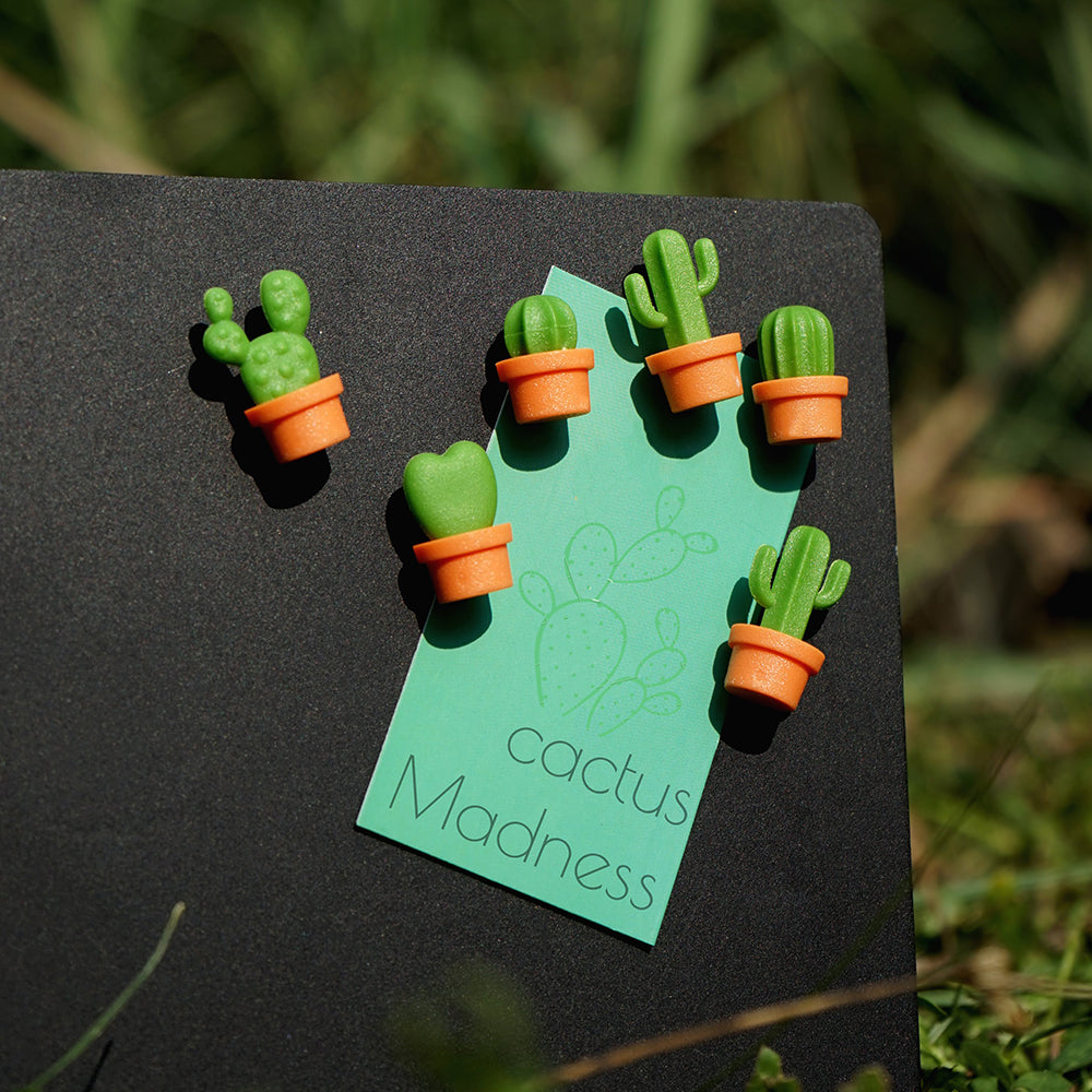 Cactus Magnet Set