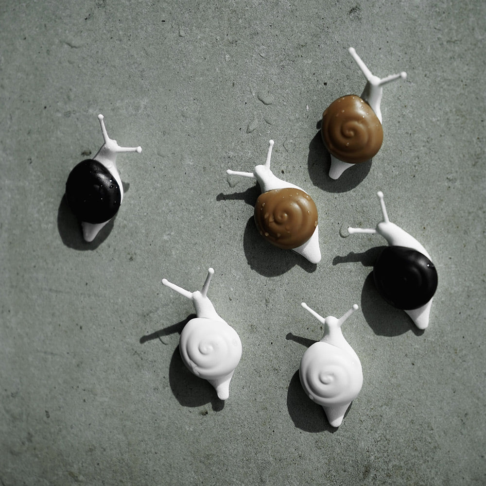 Snail Magnet Set