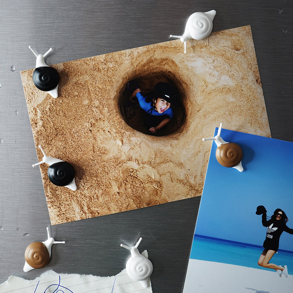 Snail Magnet Set