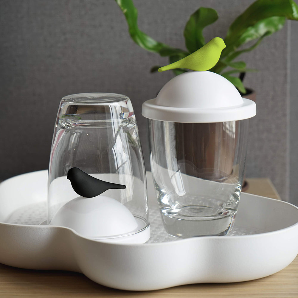 Sparrow Glass Mug and Lid/Holder