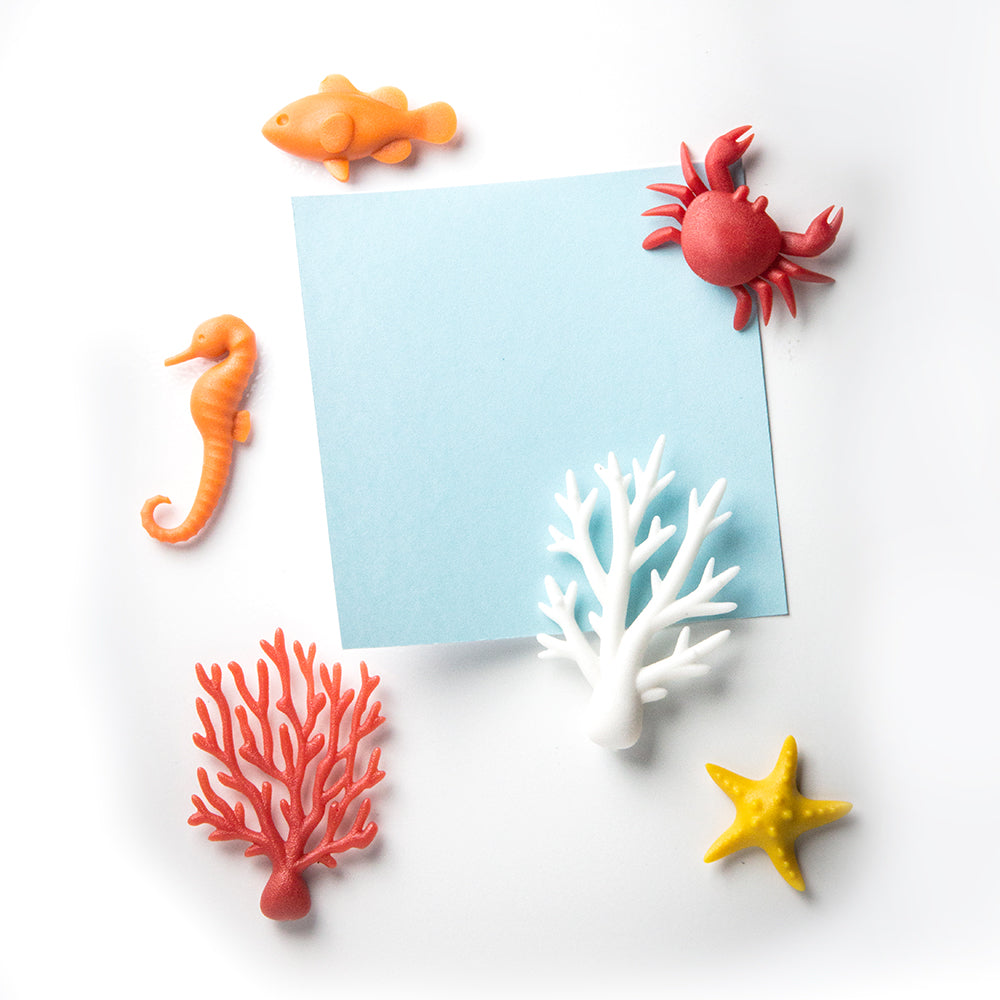 Ocean Ecology Magnet Set