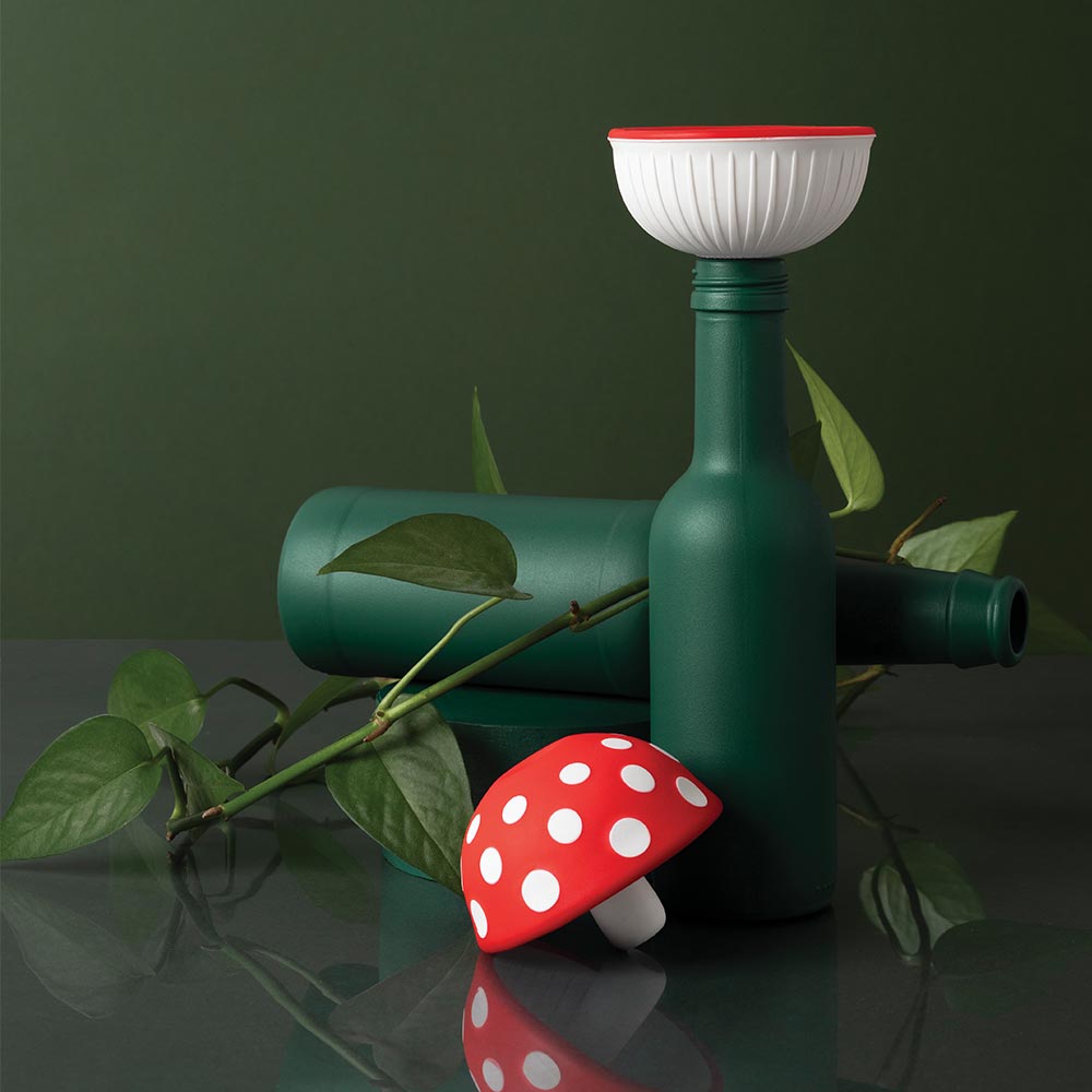 Fungilicious - Funnel