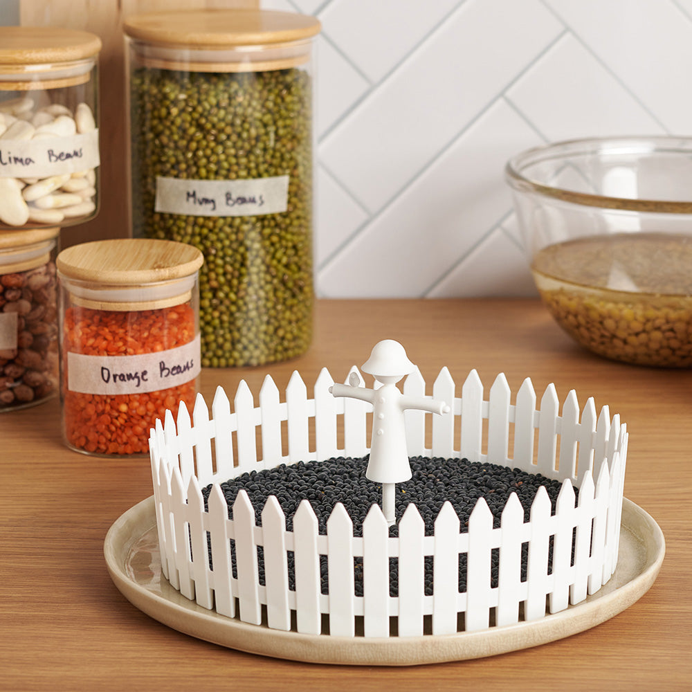 Seed Field - Seed Sprouter