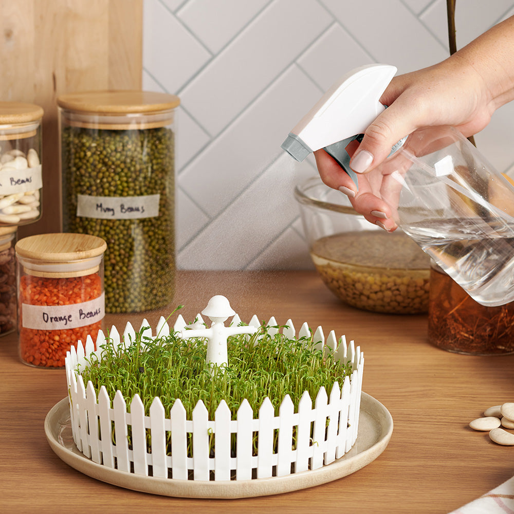 Seed Field - Seed Sprouter