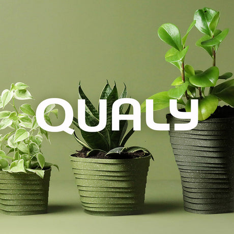 Qualy Design
