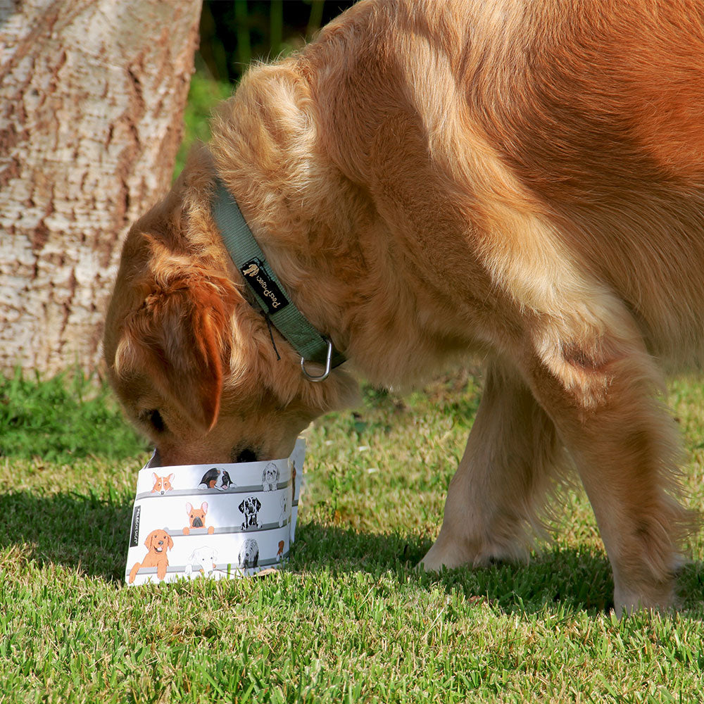 Wuff 'n' Go - Dog Travel Bowl Set