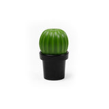 Tasty Cactus Salt/Pepper Grinder
