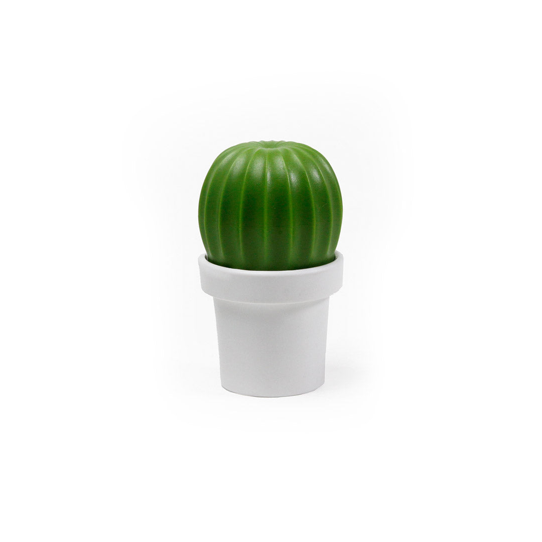 Tasty Cactus Salt/Pepper Grinder