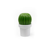 Tasty Cactus Salt/Pepper Grinder
