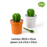 Cacnister Coffee/Tea Canister and Spoon