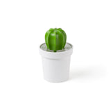 Cacnister Coffee/Tea Canister and Spoon