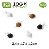Snail Magnet Set