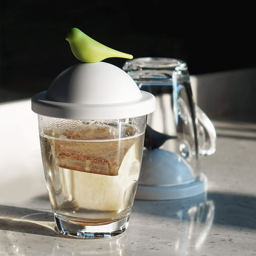 Sparrow Glass Mug and Lid/Holder