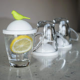 Sparrow Glass Mug and Lid/Holder