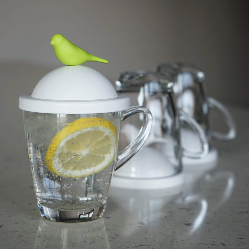 Sparrow Glass Mug and Lid/Holder