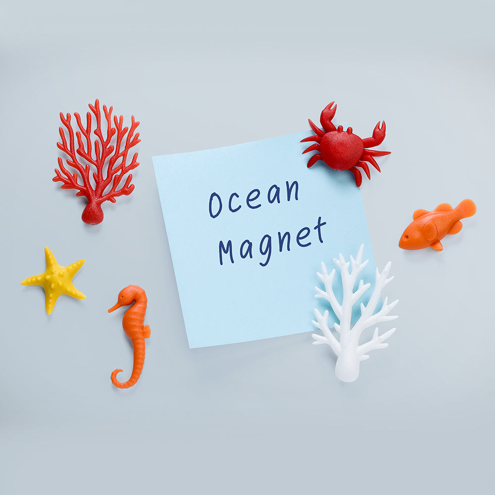 Ocean Ecology Magnet Set