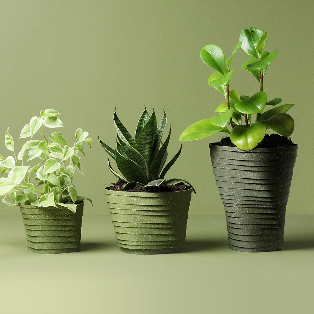 Strata Pot Self-Watering Plant Pot