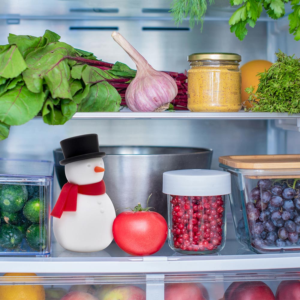 Freezy - Fridge Deodorizer