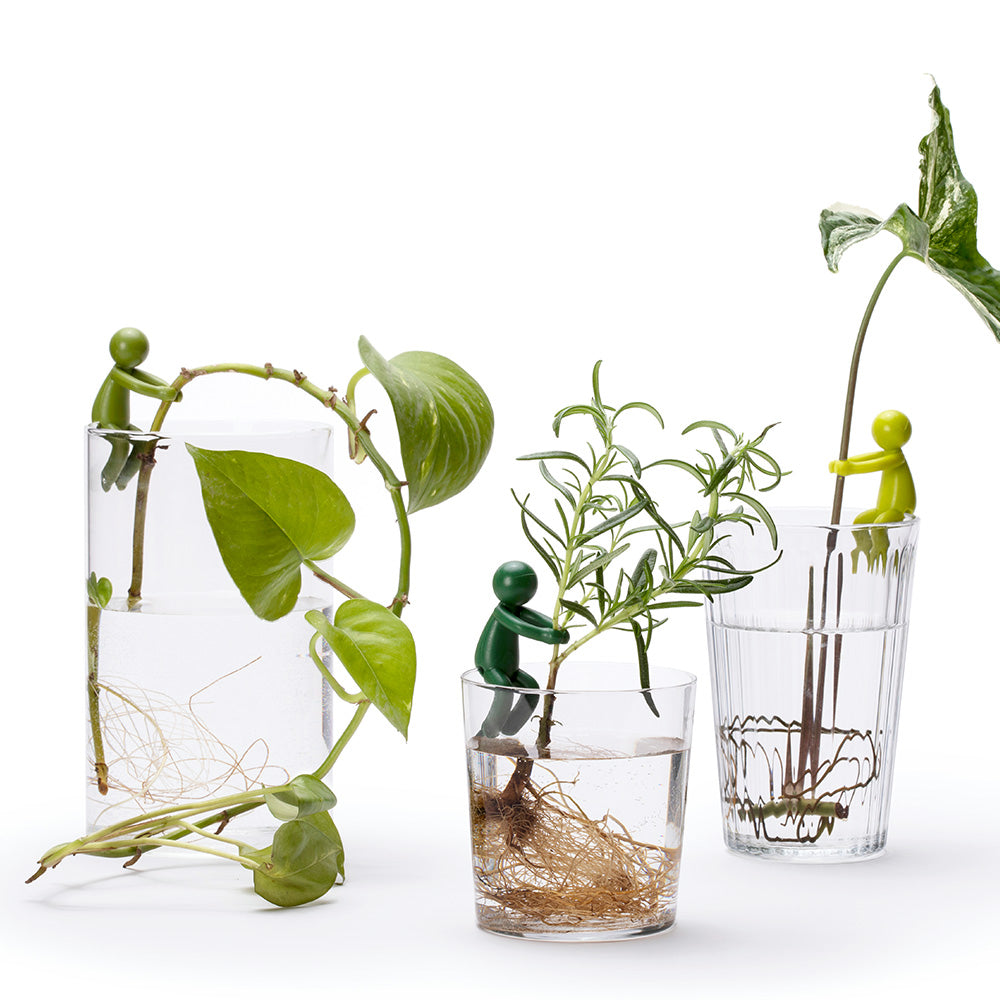 Leafriend - Plant Propagation Buddy
