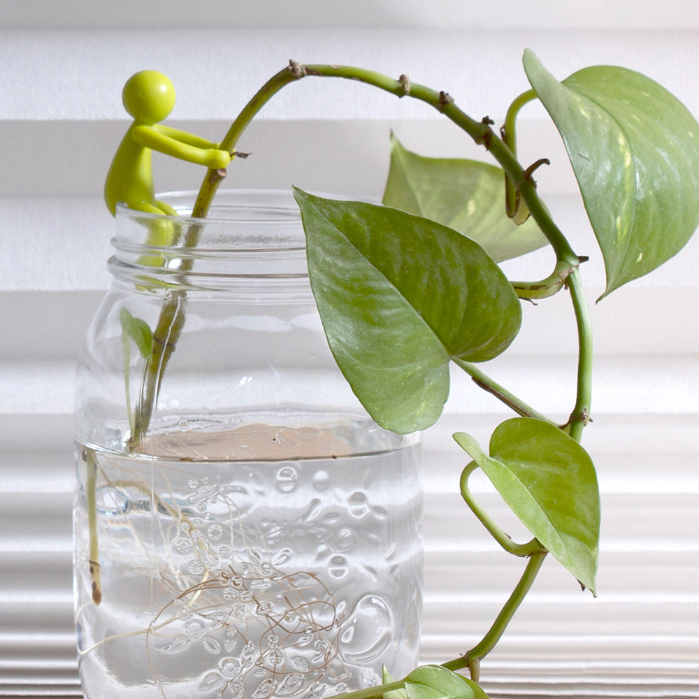 Leafriend - Plant Propagation Buddy