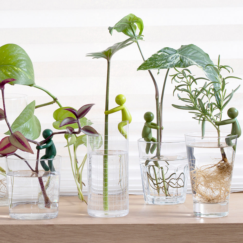 Leafriend - Plant Propagation Buddy