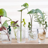 Leafriend - Plant Propagation Buddy