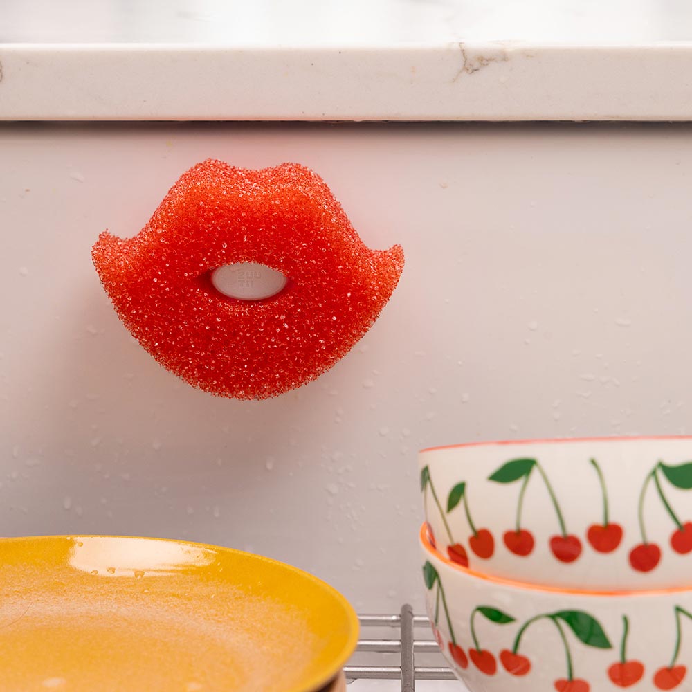 Temperature-Sensitive Multipurpose Kiss Sponge